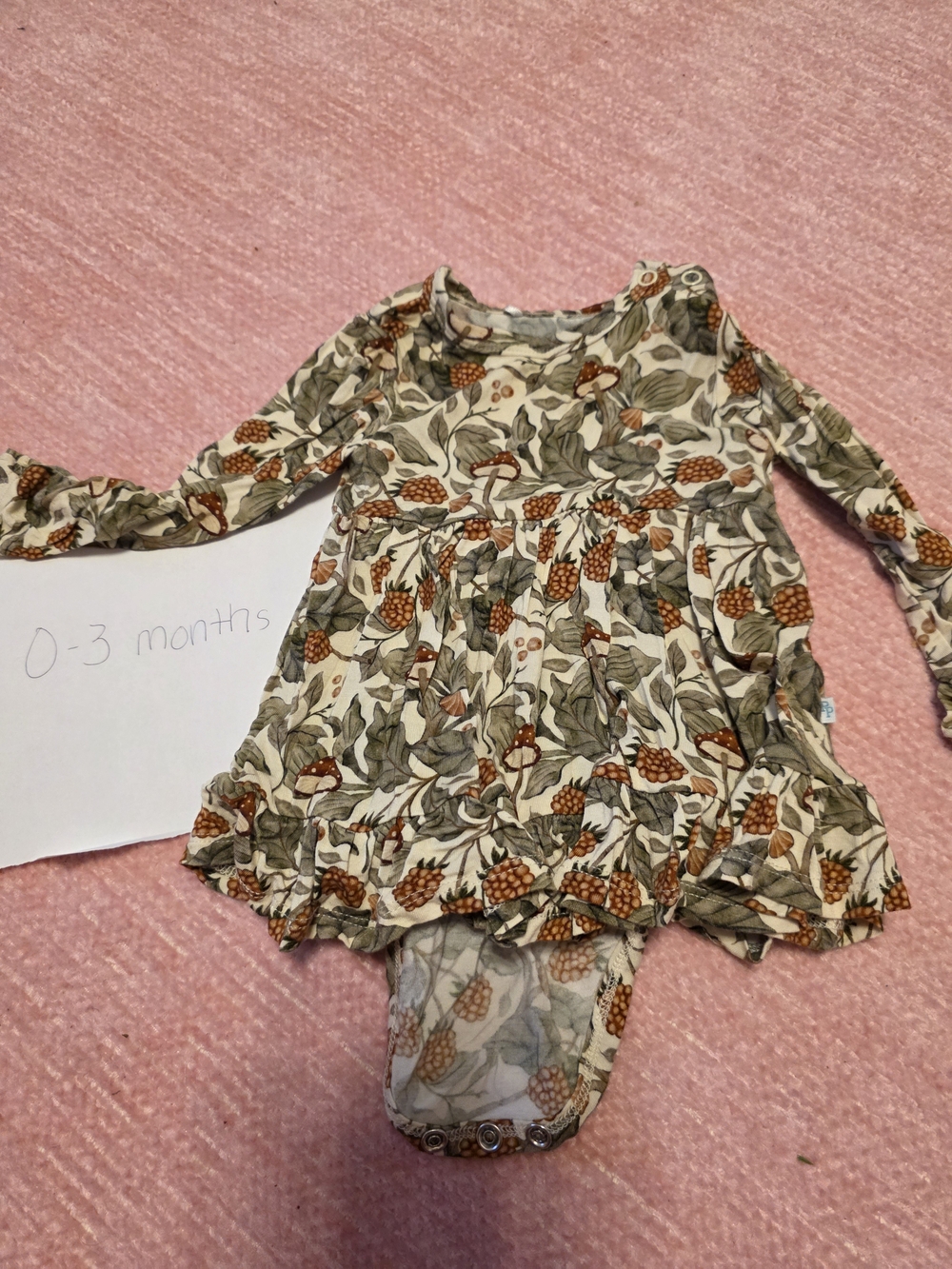 Posh Peanut Floral Pinecone Long-Sleeve Baby Dress Bodysuit - Cream & Olive